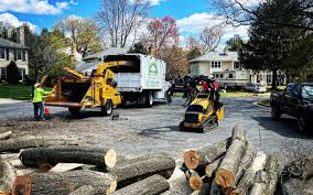 Best Leaf Removal  in Lake Caroline, VA