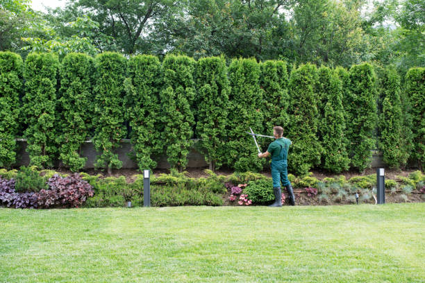 Best Emergency Tree Removal  in Lake Caroline, VA