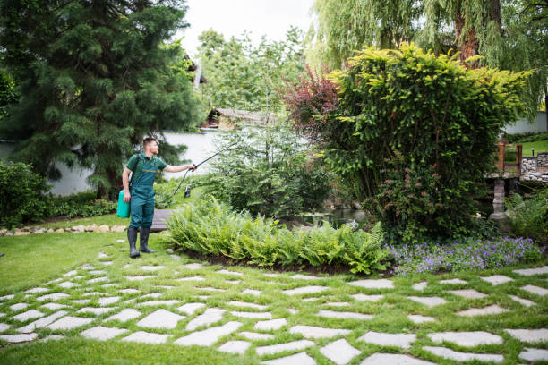 Best Lawn Renovation and Restoration  in Lake Caroline, VA